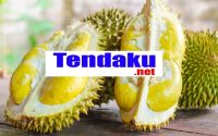 9 Ide Bisnis Olahan Durian, Cek Mana yang Menguntungkan